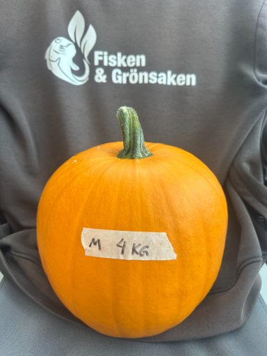 SÅLD SÅLD