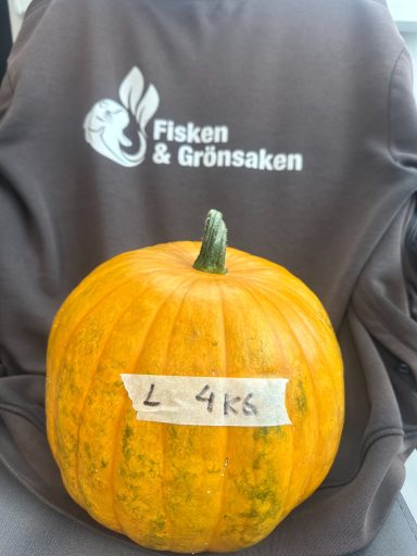 Pumpa L, (4kg), 100:- Pumpa L, (4kg), 100:-