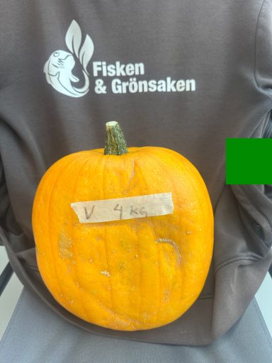 Pumpa V, (4kg), 100:- Pumpa V, (4kg), 100:-