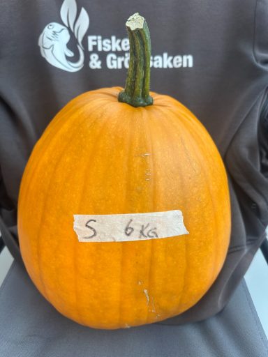 Såld Såld