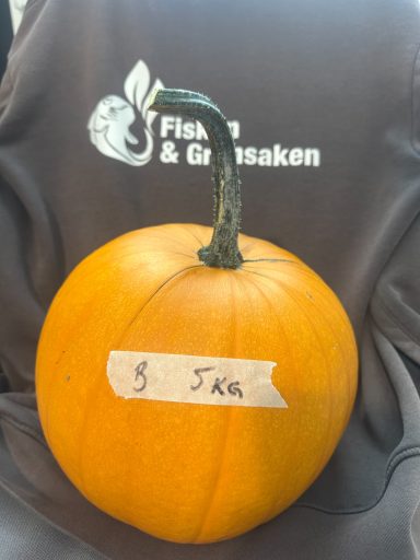Såld Såld
