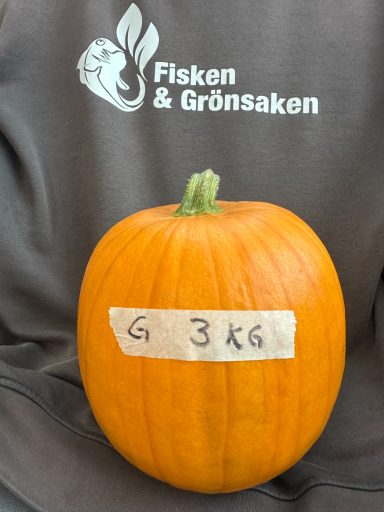 SÅLD SÅLD
