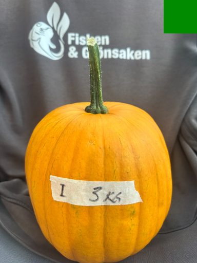 Pumpa I, (3kg), 100:- Pumpa I, (3kg), 100:-