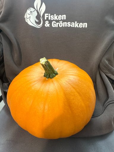 SÅLD SÅLD