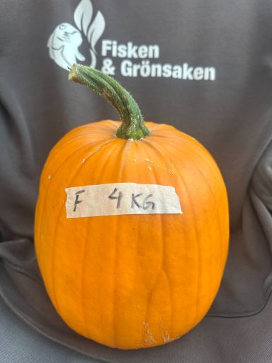 Pumpa F, (4kg), 100:- Pumpa F, (4kg), 100:-