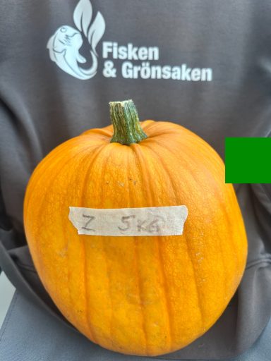 Pumpa Z, (5kg), 125:- Pumpa Z, (5kg), 125:-