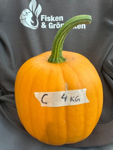 Pumpa C, (4kg), 100:- Pumpa C, (4kg), 100:-