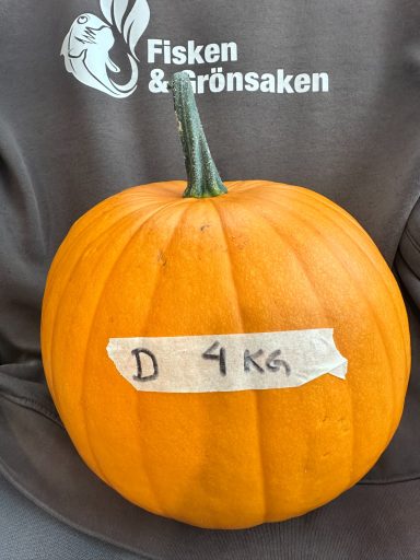 Såld Såld