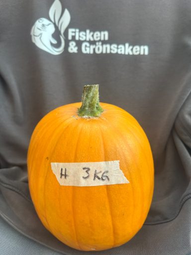Pumpa H, (3kg), 100:- Pumpa H, (3kg), 100:-