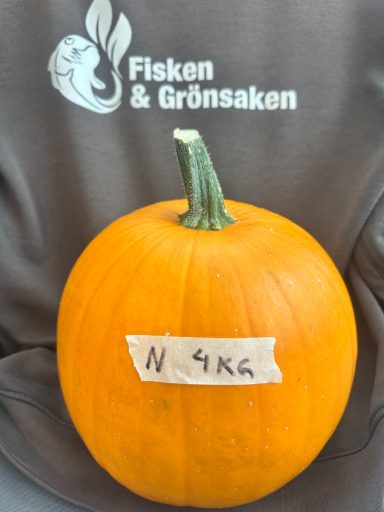 SÅLD SÅLD