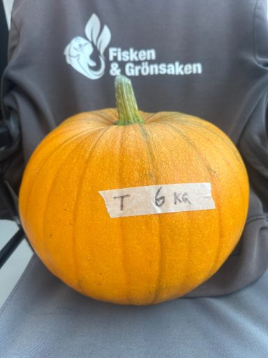 SÅLD SÅLD