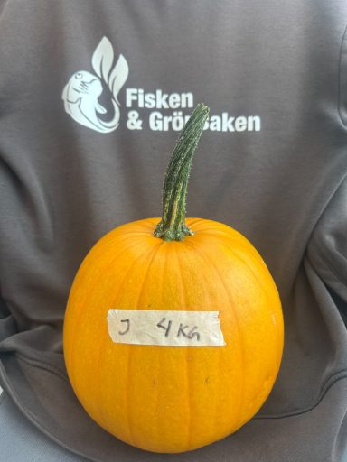 SÅLD SÅLD