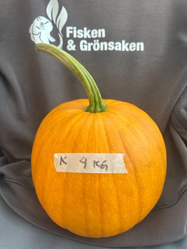 SÅLD SÅLD
