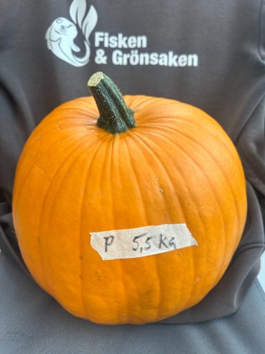 Pumpa P, (5,5 kg), 137:- Pumpa P, (5,5 kg), 137:-