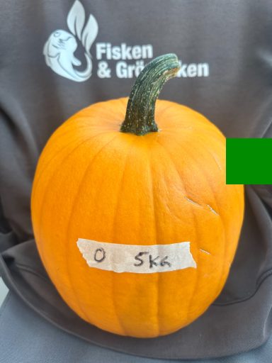 Såld Såld